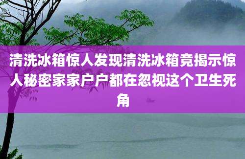 清洗冰箱惊人发现清洗冰箱竟揭示惊人秘密家家户户都在忽视这个卫生死角