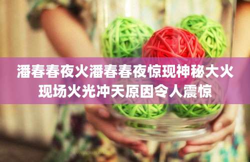 潘春春夜火潘春春夜惊现神秘大火现场火光冲天原因令人震惊