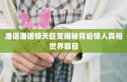 潘诺潘诺惊天巨变揭秘背后惊人真相世界瞩目
