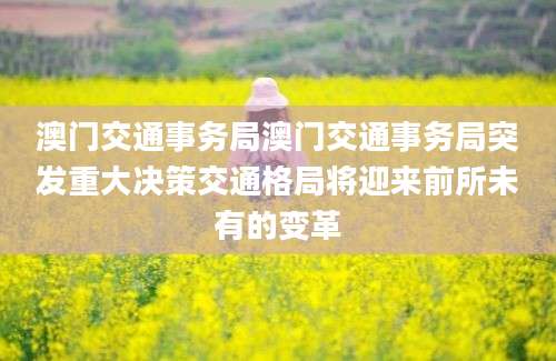 澳门交通事务局澳门交通事务局突发重大决策交通格局将迎来前所未有的变革