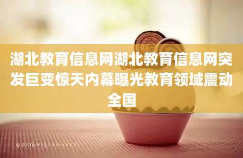 湖北教育信息网湖北教育信息网突发巨变惊天内幕曝光教育领域震动全国