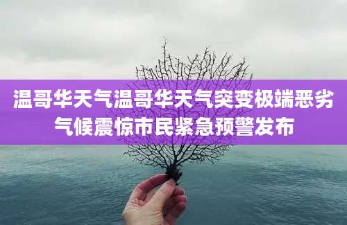 温哥华天气温哥华天气突变极端恶劣气候震惊市民紧急预警发布