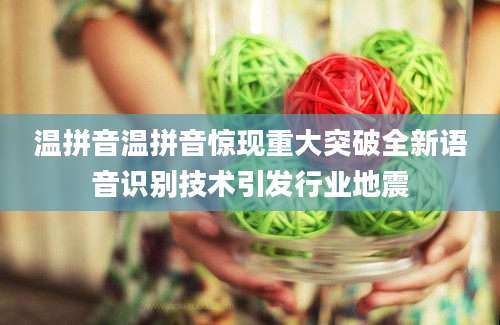 温拼音温拼音惊现重大突破全新语音识别技术引发行业地震