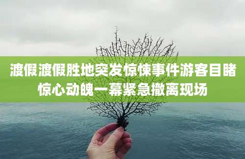 渡假渡假胜地突发惊悚事件游客目睹惊心动魄一幕紧急撤离现场