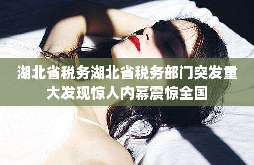 湖北省税务湖北省税务部门突发重大发现惊人内幕震惊全国