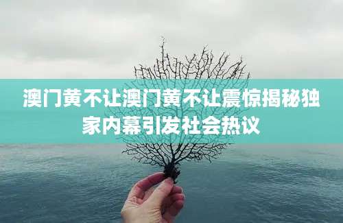 澳门黄不让澳门黄不让震惊揭秘独家内幕引发社会热议