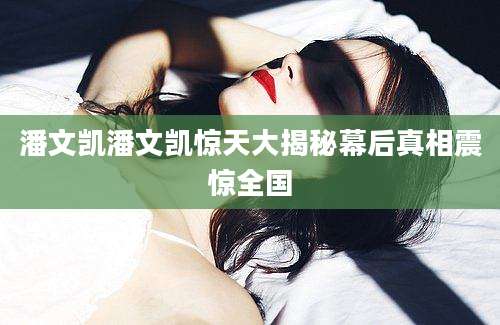 潘文凯潘文凯惊天大揭秘幕后真相震惊全国