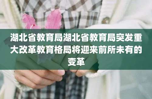 湖北省教育局湖北省教育局突发重大改革教育格局将迎来前所未有的变革