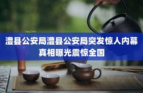 澧县公安局澧县公安局突发惊人内幕真相曝光震惊全国