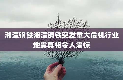 湘潭钢铁湘潭钢铁突发重大危机行业地震真相令人震惊