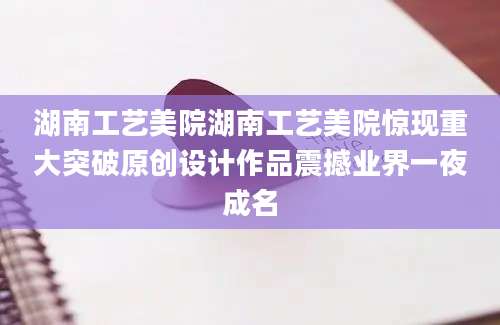 湖南工艺美院湖南工艺美院惊现重大突破原创设计作品震撼业界一夜成名