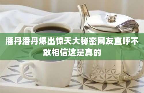 潘丹潘丹爆出惊天大秘密网友直呼不敢相信这是真的