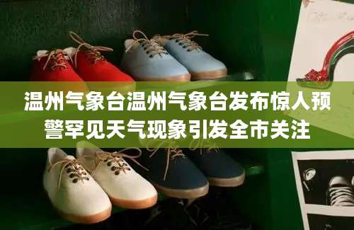 温州气象台温州气象台发布惊人预警罕见天气现象引发全市关注