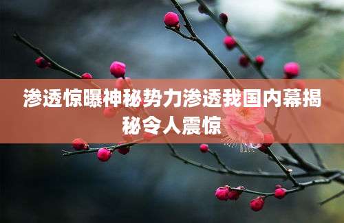 渗透惊曝神秘势力渗透我国内幕揭秘令人震惊