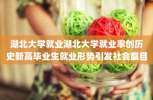 湖北大学就业湖北大学就业率创历史新高毕业生就业形势引发社会瞩目