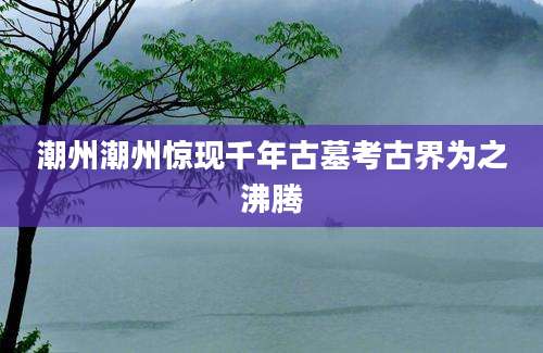 潮州潮州惊现千年古墓考古界为之沸腾