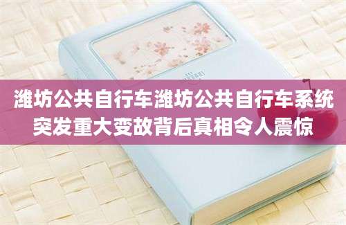 潍坊公共自行车潍坊公共自行车系统突发重大变故背后真相令人震惊