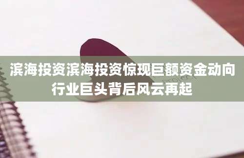 滨海投资滨海投资惊现巨额资金动向行业巨头背后风云再起