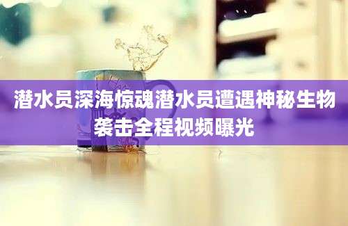 潜水员深海惊魂潜水员遭遇神秘生物袭击全程视频曝光
