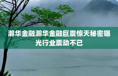 瀚华金融瀚华金融巨震惊天秘密曝光行业震动不已
