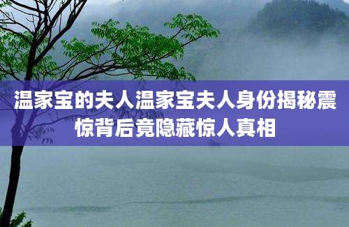 温家宝的夫人温家宝夫人身份揭秘震惊背后竟隐藏惊人真相
