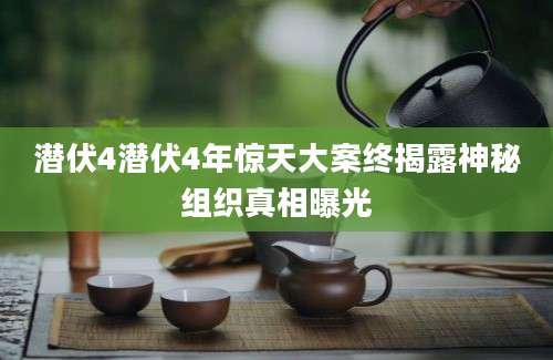 潜伏4潜伏4年惊天大案终揭露神秘组织真相曝光