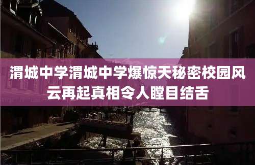 渭城中学渭城中学爆惊天秘密校园风云再起真相令人瞠目结舌