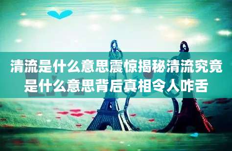 清流是什么意思震惊揭秘清流究竟是什么意思背后真相令人咋舌