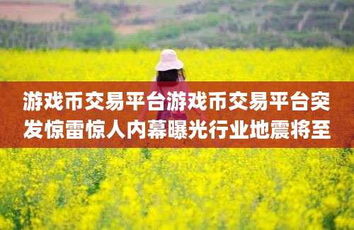 游戏币交易平台游戏币交易平台突发惊雷惊人内幕曝光行业地震将至