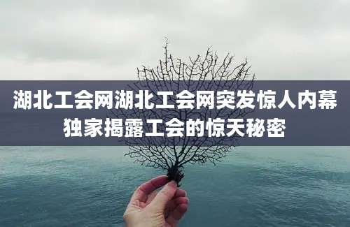 湖北工会网湖北工会网突发惊人内幕独家揭露工会的惊天秘密