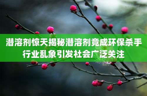 潜溶剂惊天揭秘潜溶剂竟成环保杀手行业乱象引发社会广泛关注