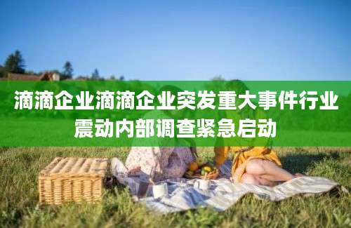 滴滴企业滴滴企业突发重大事件行业震动内部调查紧急启动