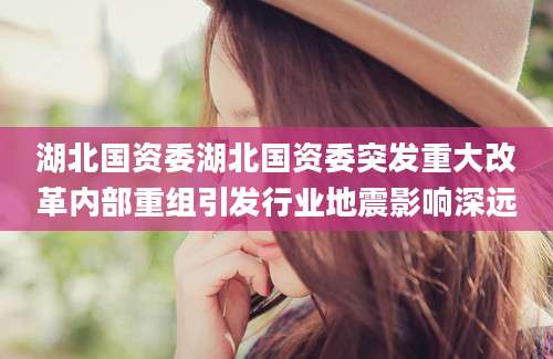 湖北国资委湖北国资委突发重大改革内部重组引发行业地震影响深远
