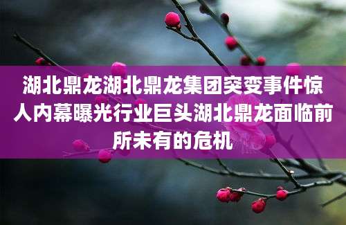 湖北鼎龙湖北鼎龙集团突变事件惊人内幕曝光行业巨头湖北鼎龙面临前所未有的危机