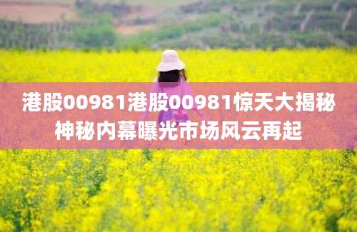 港股00981港股00981惊天大揭秘神秘内幕曝光市场风云再起
