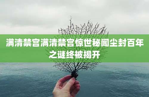 满清禁宫满清禁宫惊世秘闻尘封百年之谜终被揭开