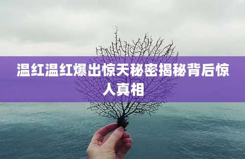 温红温红爆出惊天秘密揭秘背后惊人真相