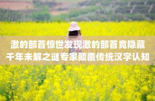 激的部首惊世发现激的部首竟隐藏千年未解之谜专家颠覆传统汉字认知