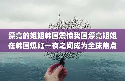 漂亮的姐姐韩国震惊我国漂亮姐姐在韩国爆红一夜之间成为全球焦点