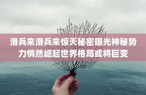 滑兵来滑兵来惊天秘密曝光神秘势力悄然崛起世界格局或将巨变
