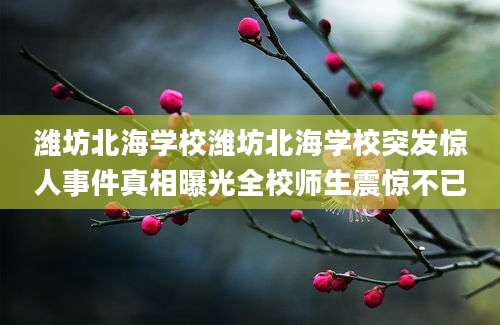 潍坊北海学校潍坊北海学校突发惊人事件真相曝光全校师生震惊不已