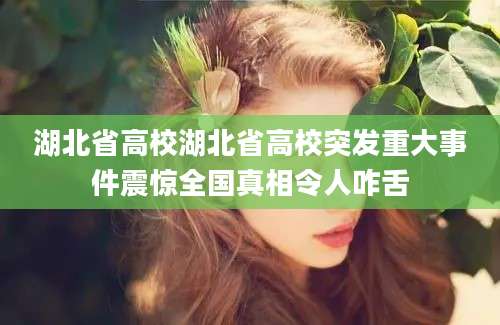 湖北省高校湖北省高校突发重大事件震惊全国真相令人咋舌