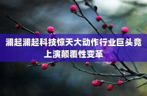 澜起澜起科技惊天大动作行业巨头竟上演颠覆性变革