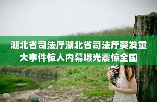 湖北省司法厅湖北省司法厅突发重大事件惊人内幕曝光震惊全国