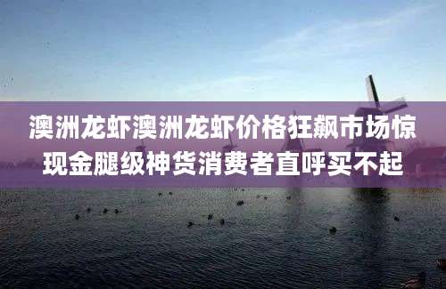 澳洲龙虾澳洲龙虾价格狂飙市场惊现金腿级神货消费者直呼买不起