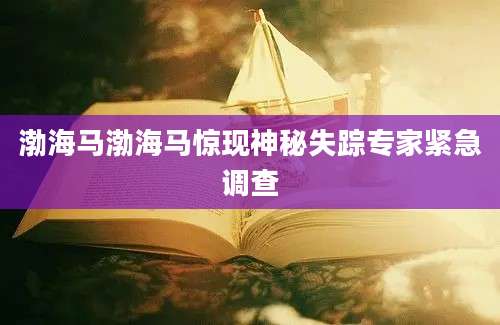 渤海马渤海马惊现神秘失踪专家紧急调查