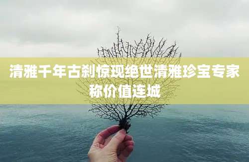 清雅千年古刹惊现绝世清雅珍宝专家称价值连城