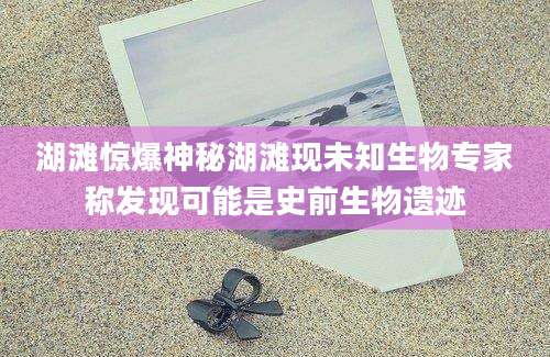 湖滩惊爆神秘湖滩现未知生物专家称发现可能是史前生物遗迹