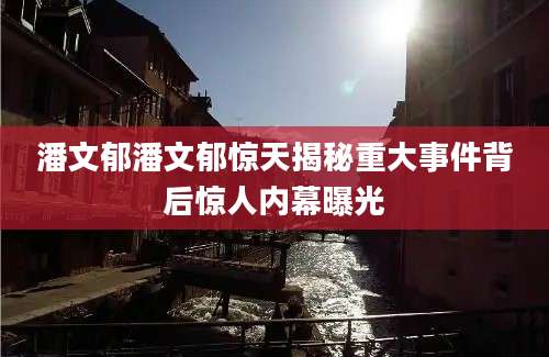 潘文郁潘文郁惊天揭秘重大事件背后惊人内幕曝光