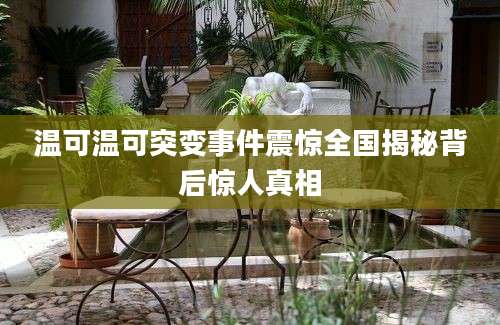 温可温可突变事件震惊全国揭秘背后惊人真相